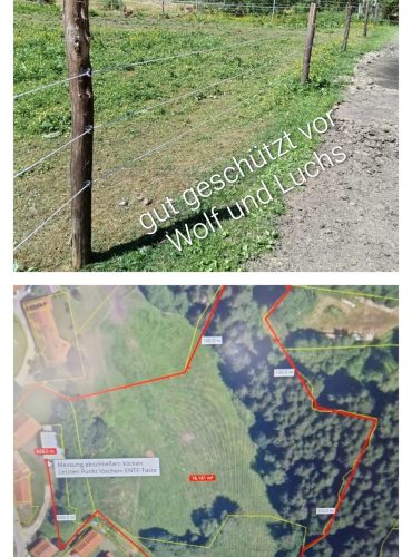 image (5)